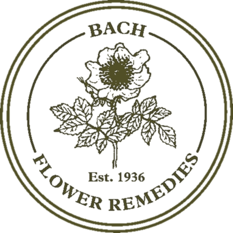Mimulus, Bach Flower Remedy, 20ml